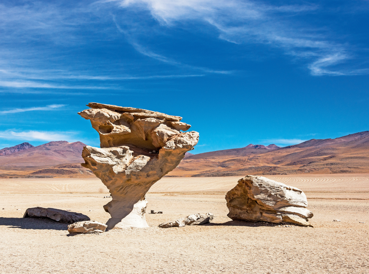 Arbol de piedra