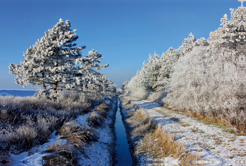 Winterlandschaft im Deichvorland von St. Peter-Ording