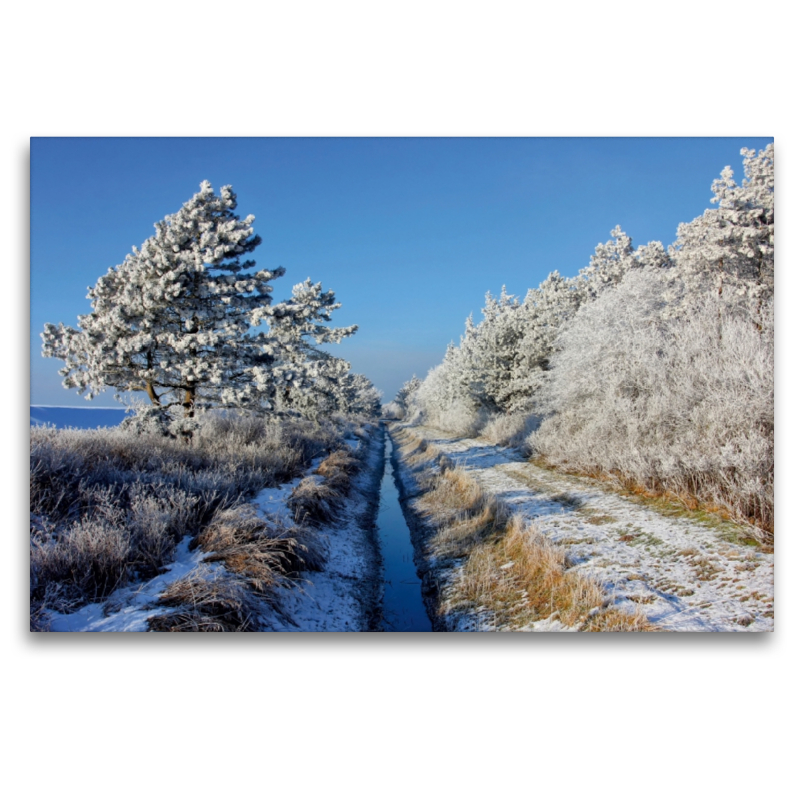 Winterlandschaft im Deichvorland von St. Peter-Ording