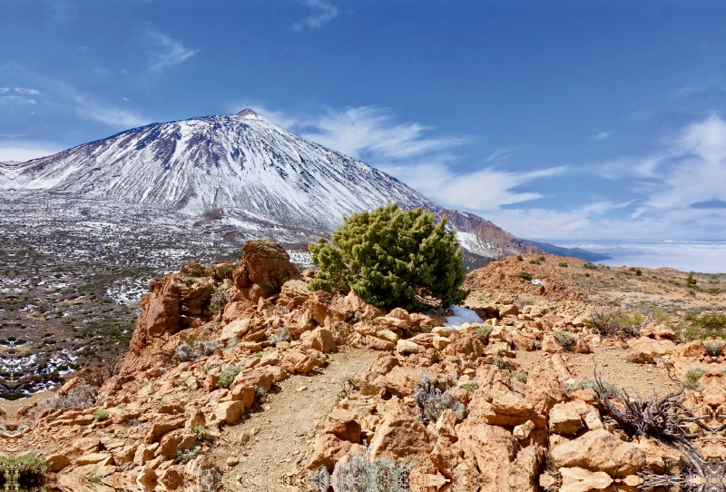 Blick auf den Teide vom Fortalezzagipfel