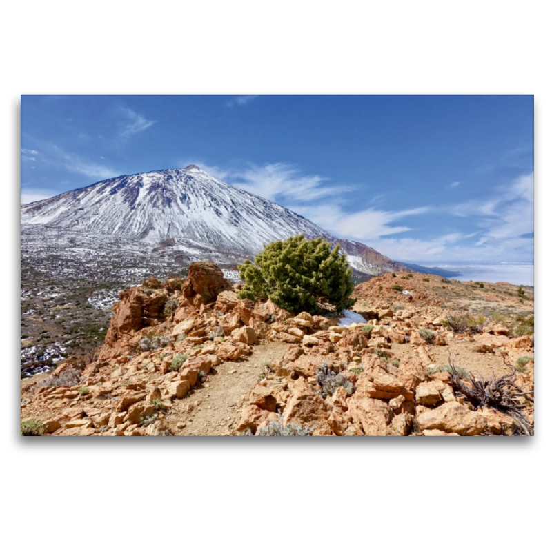 Blick auf den Teide vom Fortalezzagipfel