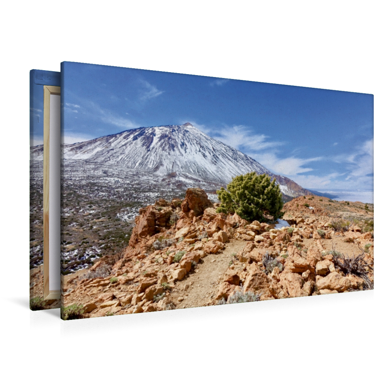 Blick auf den Teide vom Fortalezzagipfel