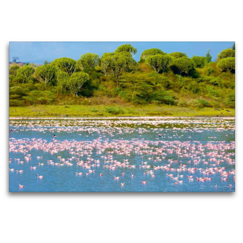 Flamingos im Big Momella Lake