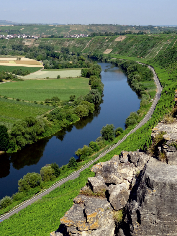 Felsengärten bei Besigheim