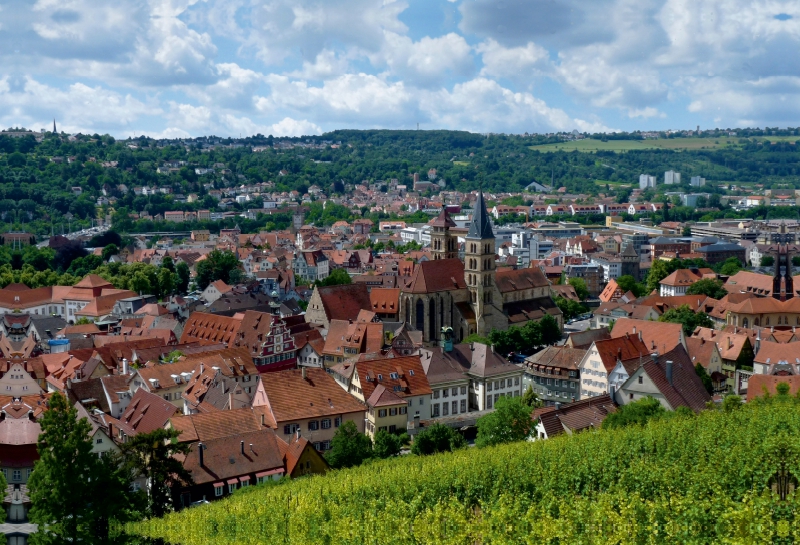 Esslingen, Blick über die Weinberge auf die Altstadt