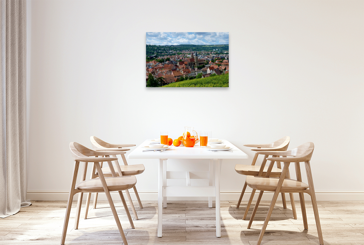 Esslingen, Blick über die Weinberge auf die Altstadt