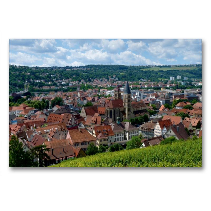 Esslingen, Blick über die Weinberge auf die Altstadt