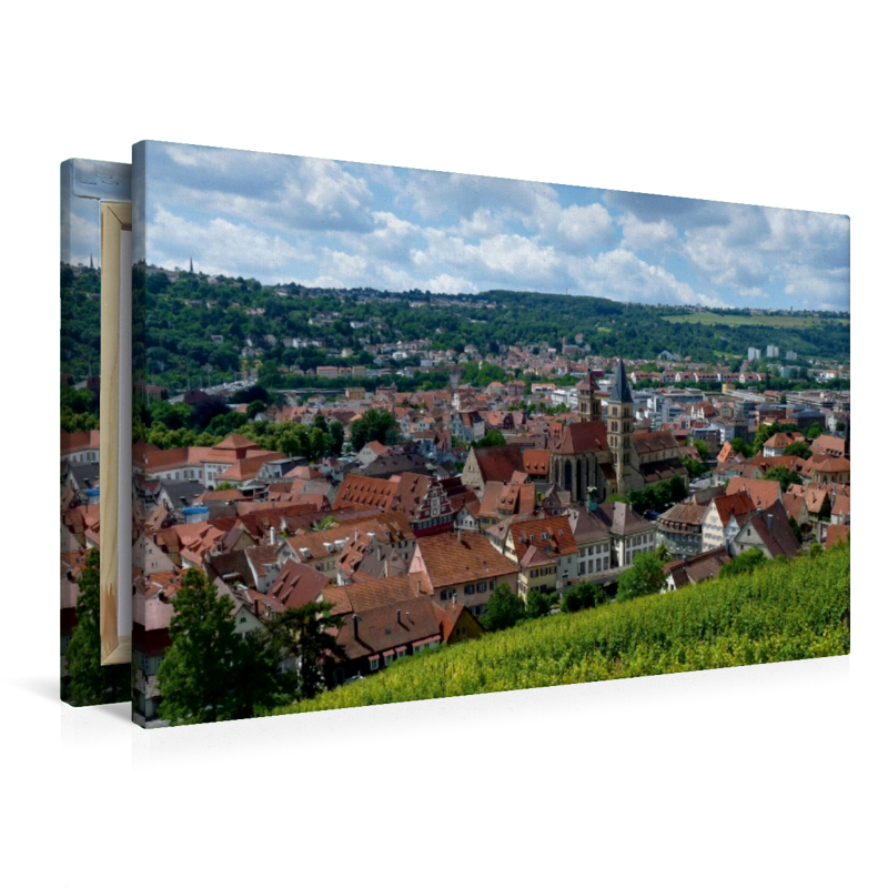 Esslingen, Blick über die Weinberge auf die Altstadt