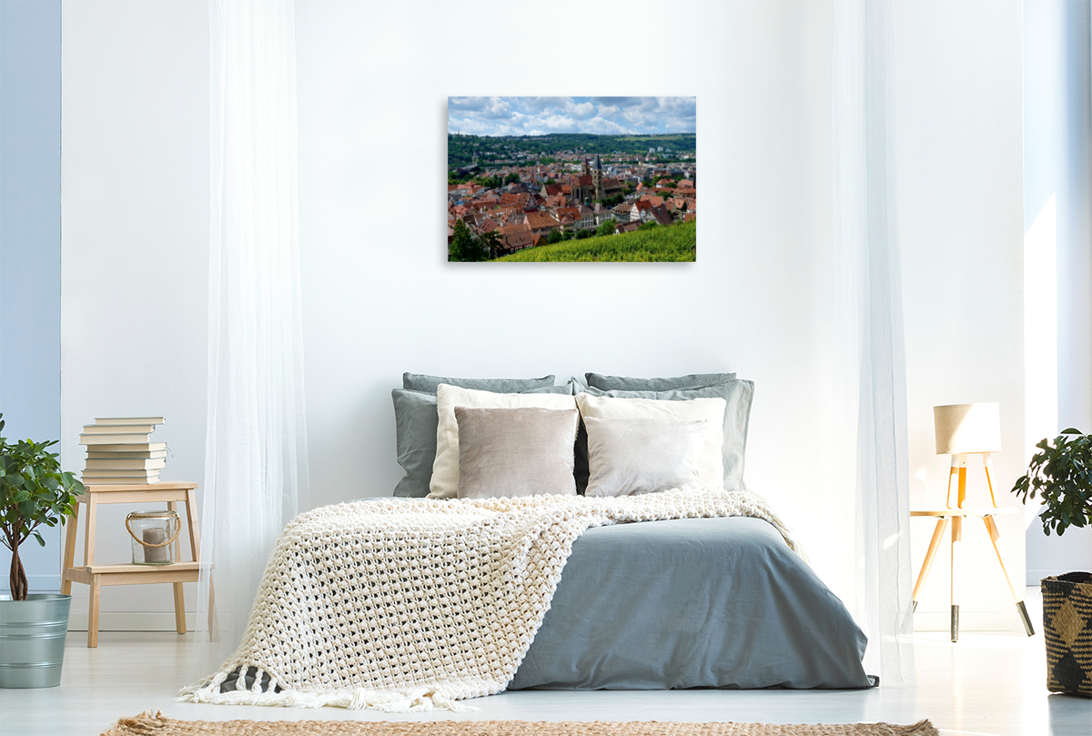 Esslingen, Blick über die Weinberge auf die Altstadt