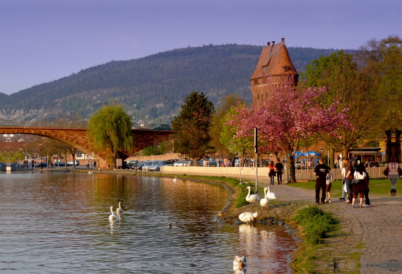 Miltenberg, Uferpromenade im Abendlicht