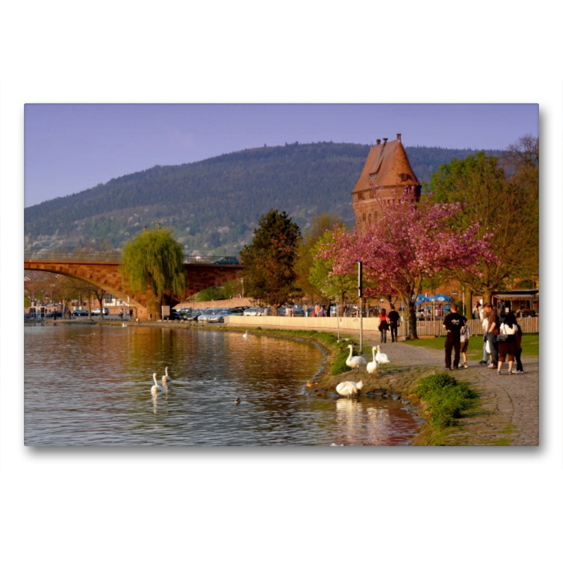 Miltenberg, Uferpromenade im Abendlicht