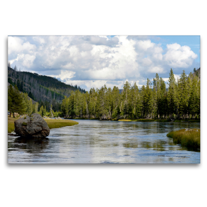 Flusslandschaft im Yellowstone