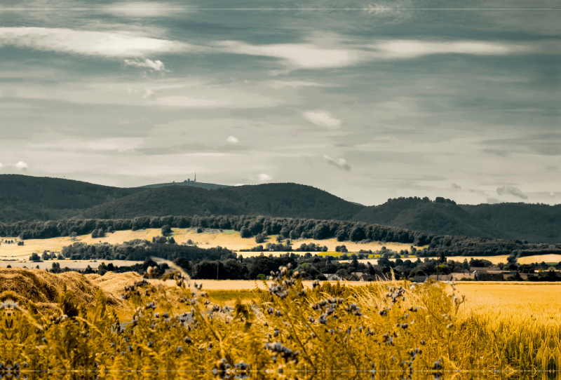 Brockenblick von Westerode