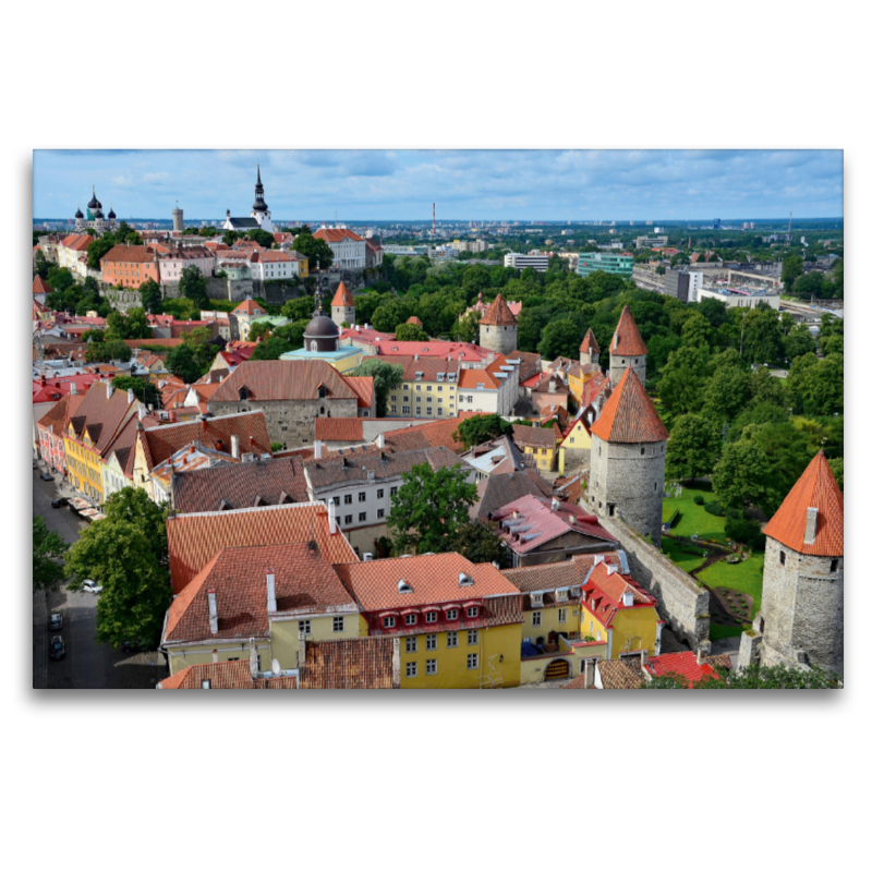 Blick über die Stadtmauer