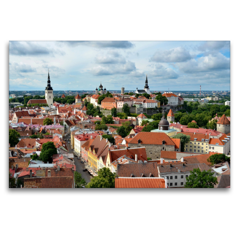 Blick über die Altstadt