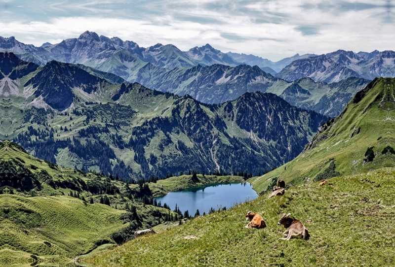 Seealpsee/Höfatsblick