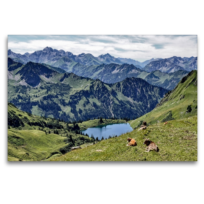 Seealpsee/Höfatsblick