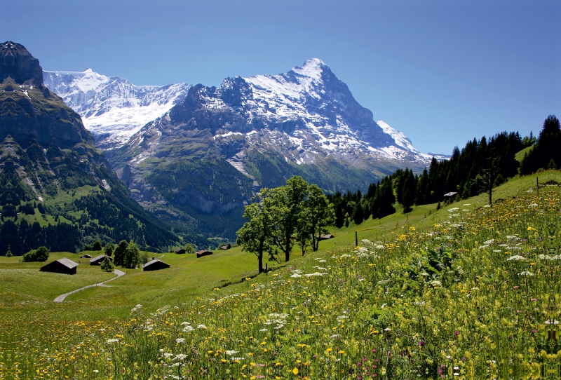 Grindelwald, Eiger - swissmountainview.ch