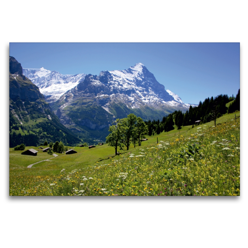 Grindelwald, Eiger - swissmountainview.ch