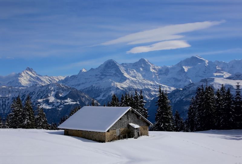 Bergblick auf Eiger, Mönch, Jungfrau vom Niederhorn, Beatenberg