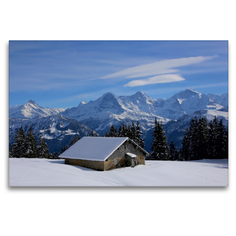 Bergblick auf Eiger, Mönch, Jungfrau vom Niederhorn, Beatenberg