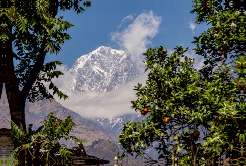 Blick aus dem tropischen Teil Nepals auf den Himalaya