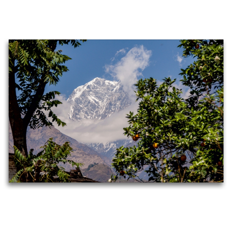 Blick aus dem tropischen Teil Nepals auf den Himalaya