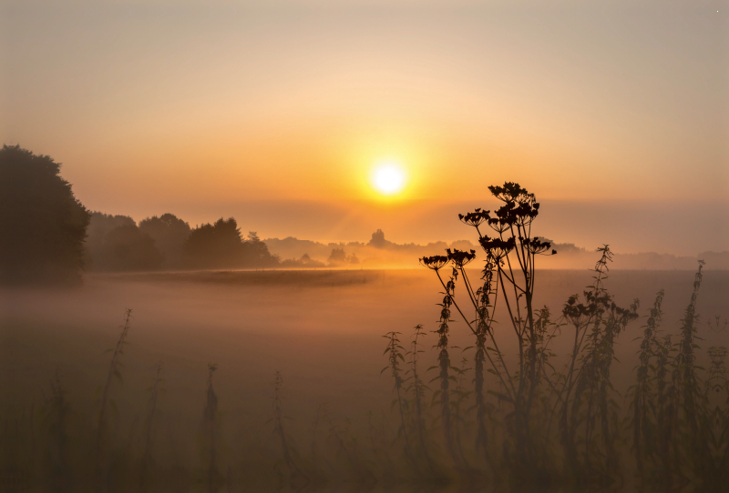 Sonnenaufgang im Teufelsmoor