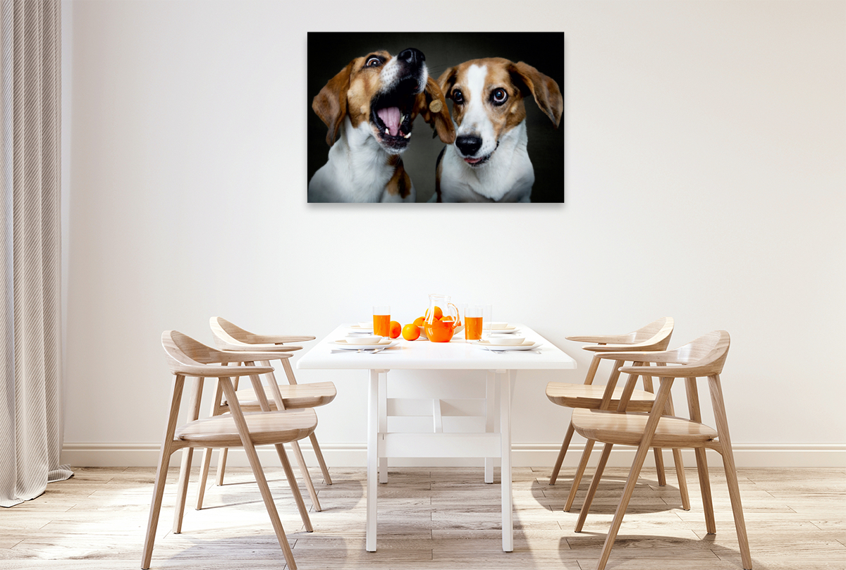 Beagle-Schnappschuss mit Leckerchen