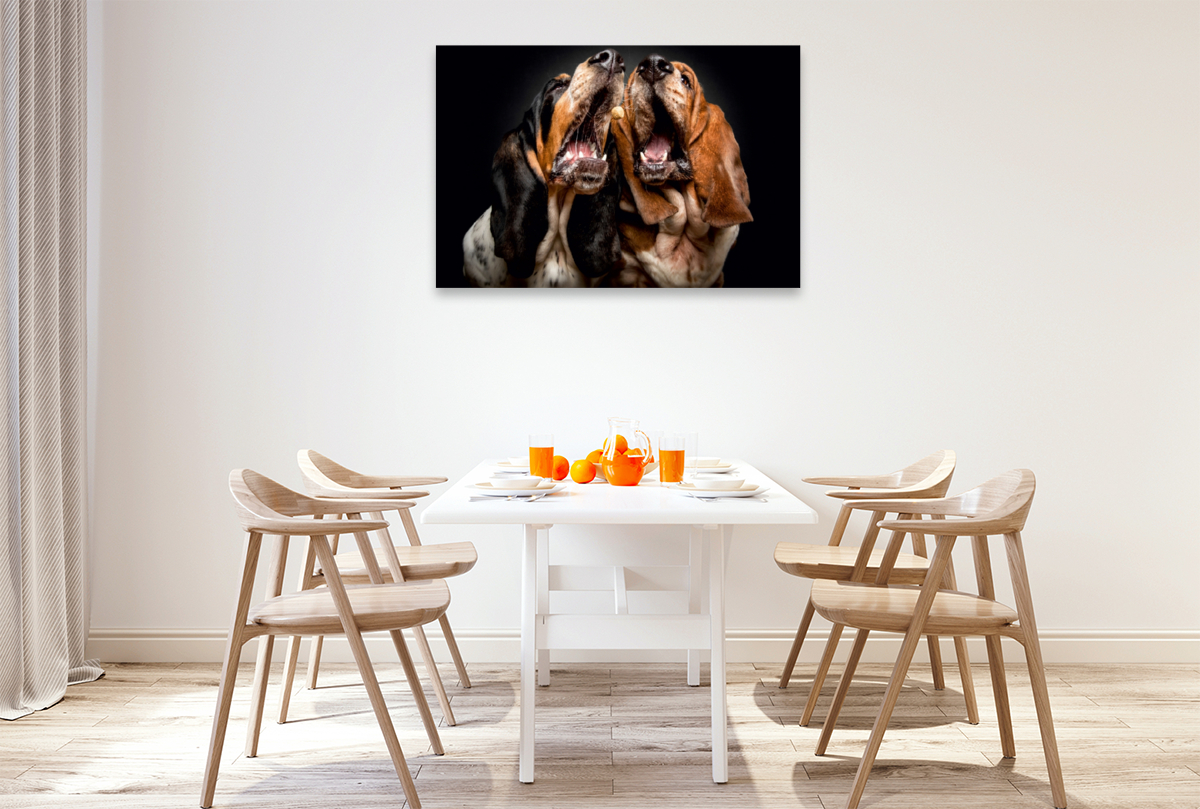 Basset Hound Schnappschuss mit Leckerchen