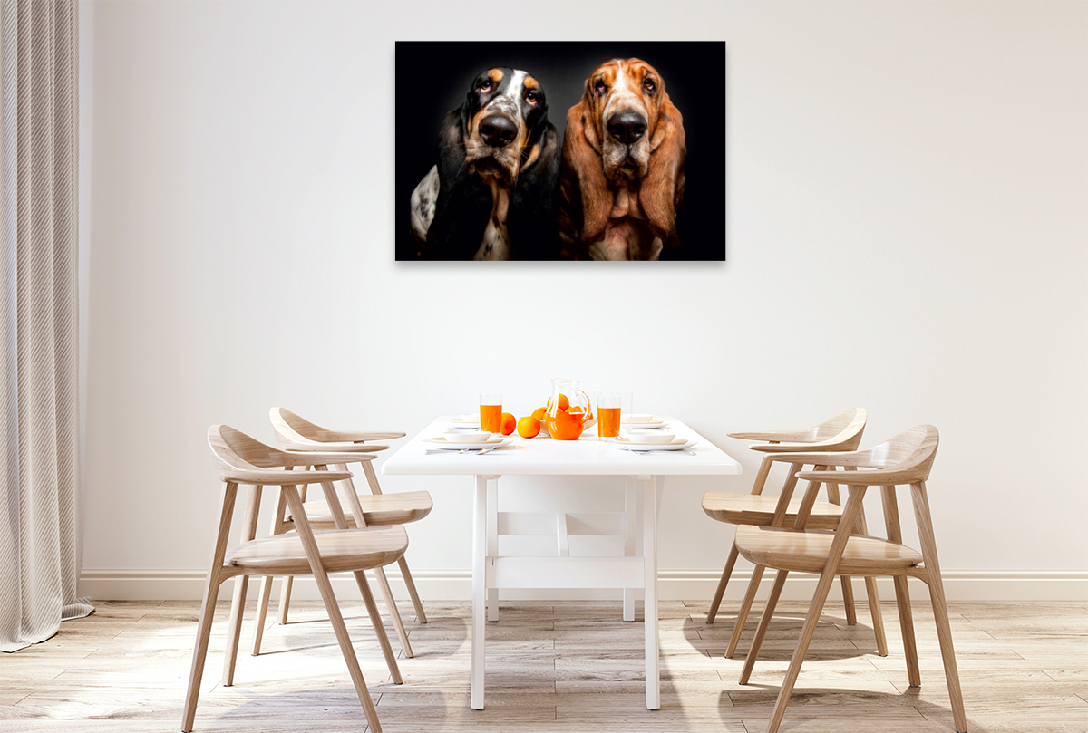 Basset Hound Schnappschuss mit Leckerchen