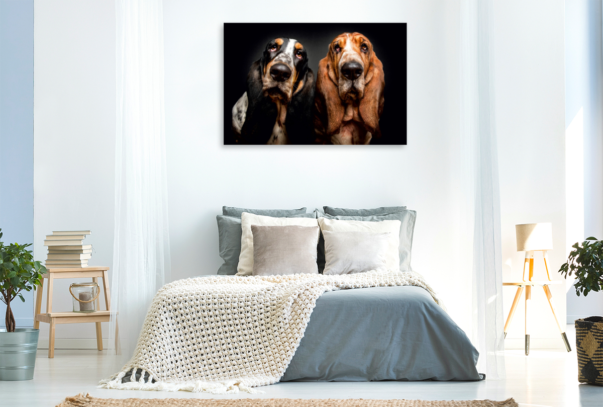 Basset Hound Schnappschuss mit Leckerchen