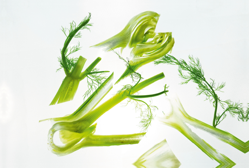 FENCHEL