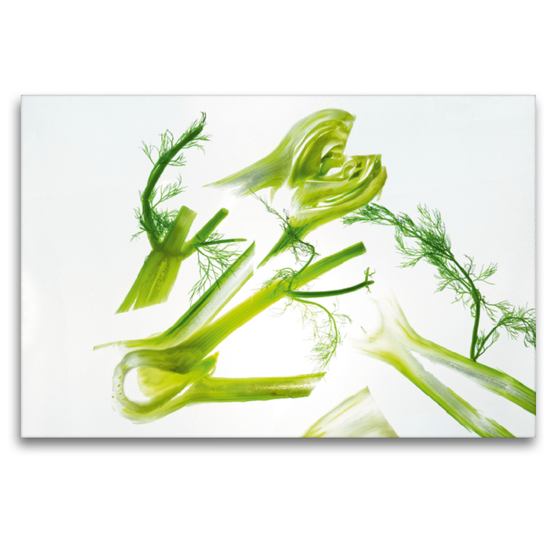 FENCHEL