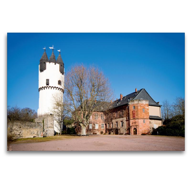 Schloss Steinheim, Hanau