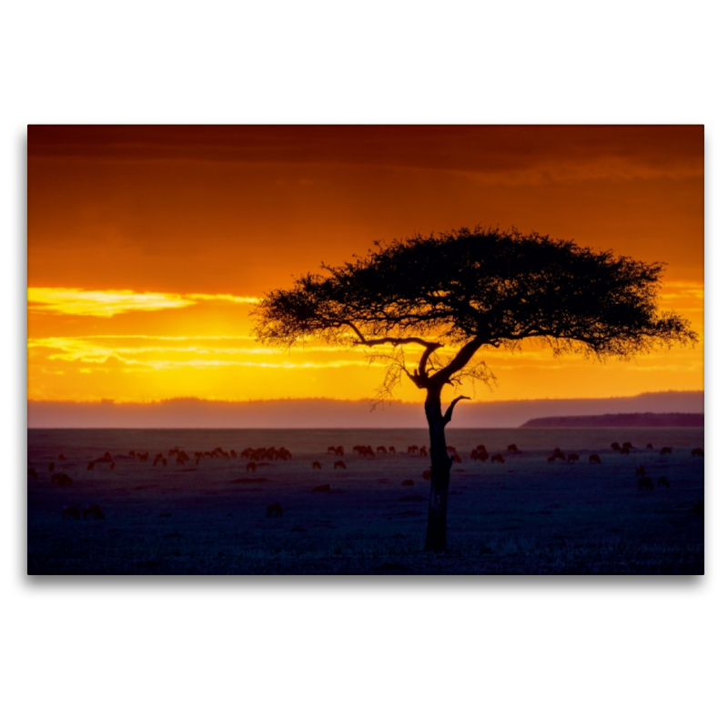 Sonnenuntergang in der Masai Mara