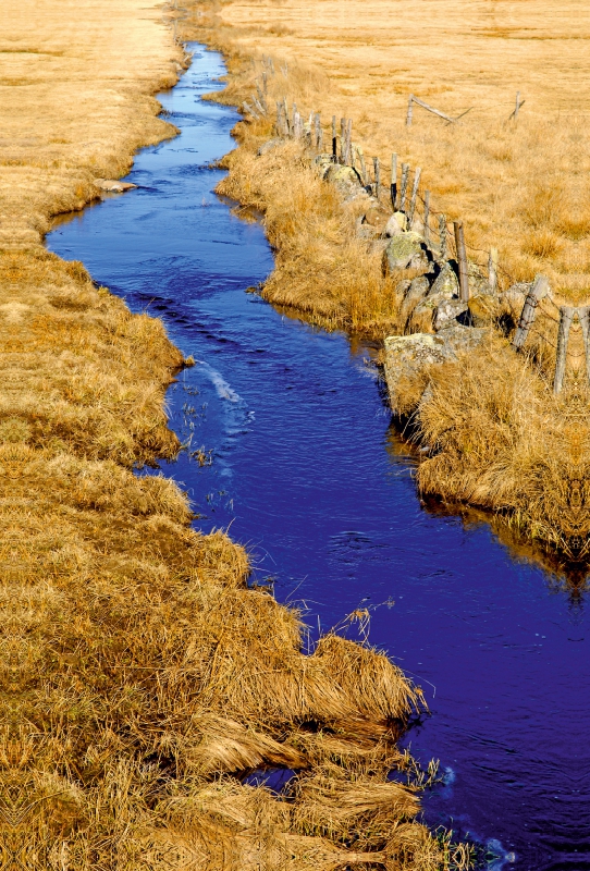 Fluss auf Aubrac