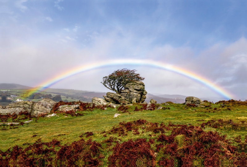 Holwell Tor