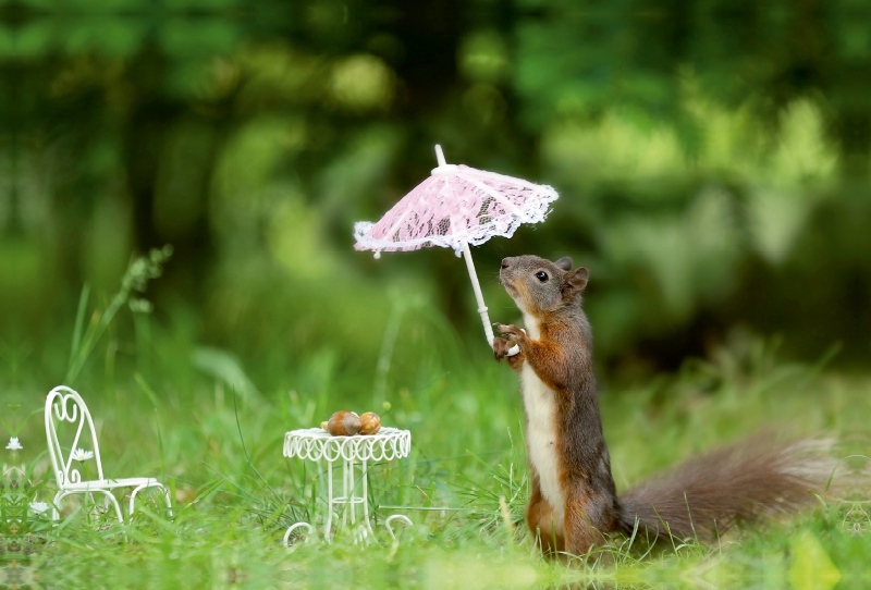 Teatime an einem schönen Sommertag im Park.