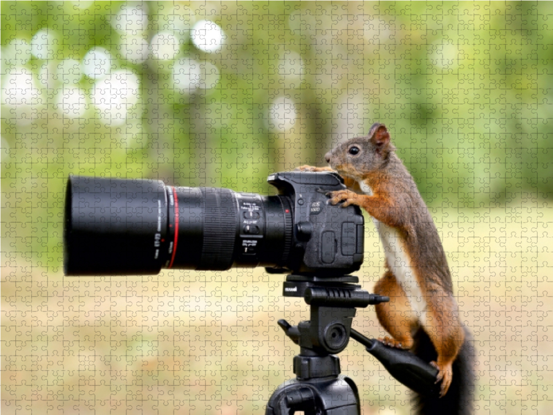 Der Hochzeitsmonat Mai. Ich bin der Starfotograf.