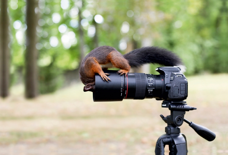 Linsenkontrolle vor dem großen Weihnachtsshooting.