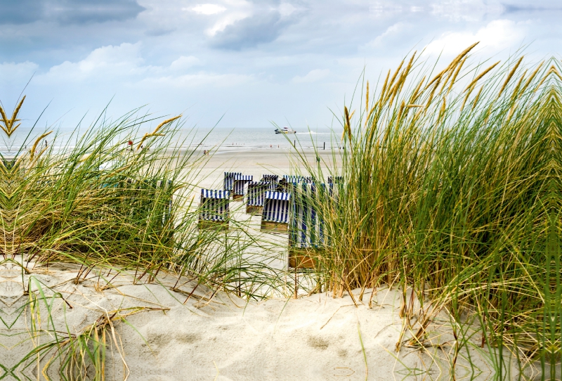 Blick durch die Dünen zum Strand