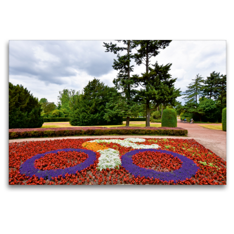 Blumenarrangement im Nordpark zum Grand Départ