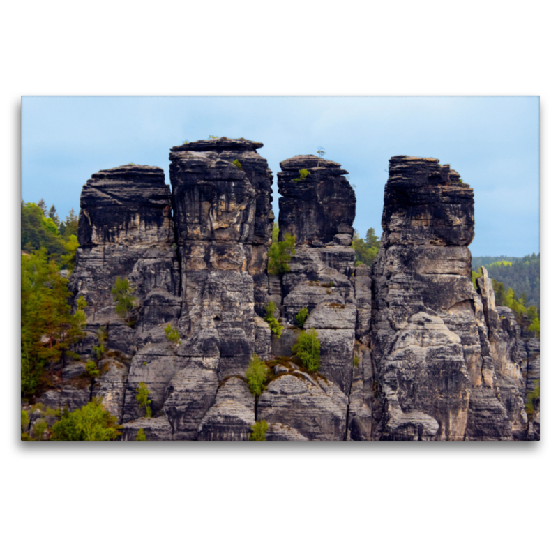 Gansfelsen im Elbsandsteingebirge