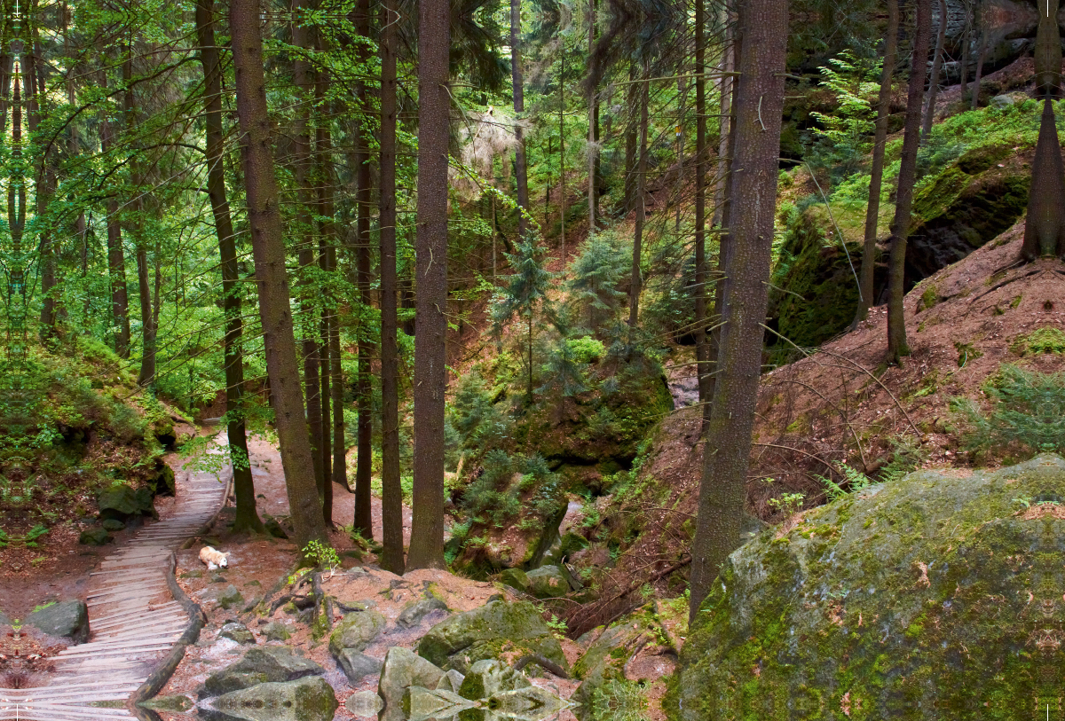 Schwedenlöcher im Elbsandsteingebirge