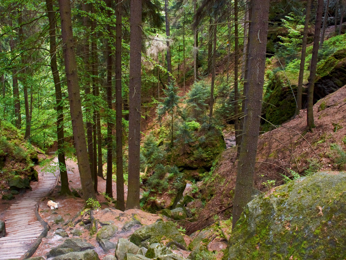 Schwedenlöcher im Elbsandsteingebirge