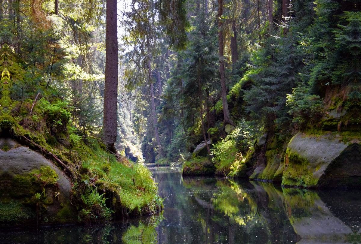 Kirnitzschtal im Elbsandsteingebirge