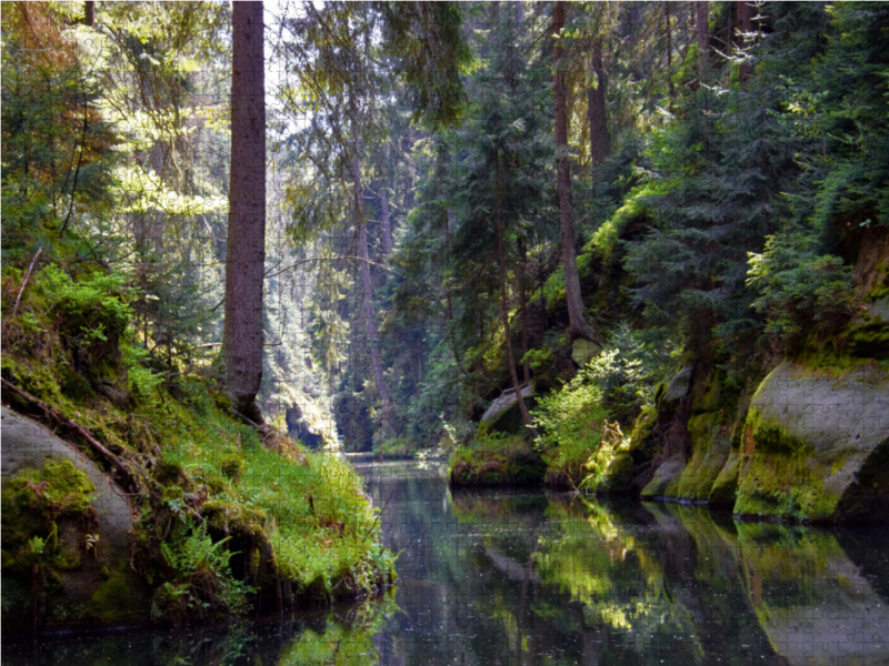 Kirnitzschtal im Elbsandsteingebirge