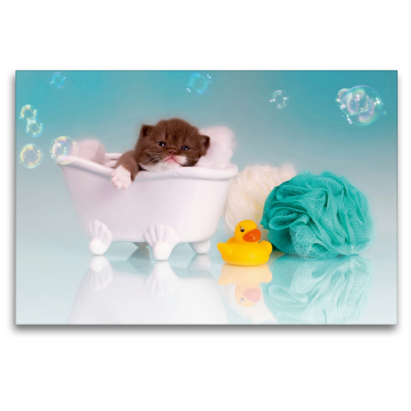 Relax - Kitten in der Badewanne