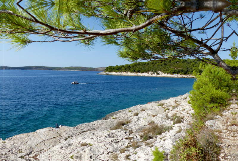 Istrien, Küste Kap Kamenjak